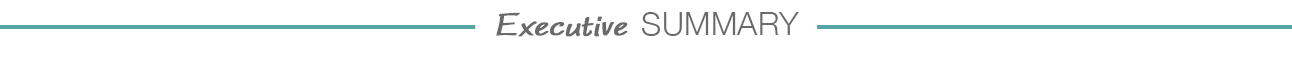 Executive Summary