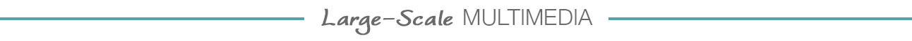 Large-scale Multimedia